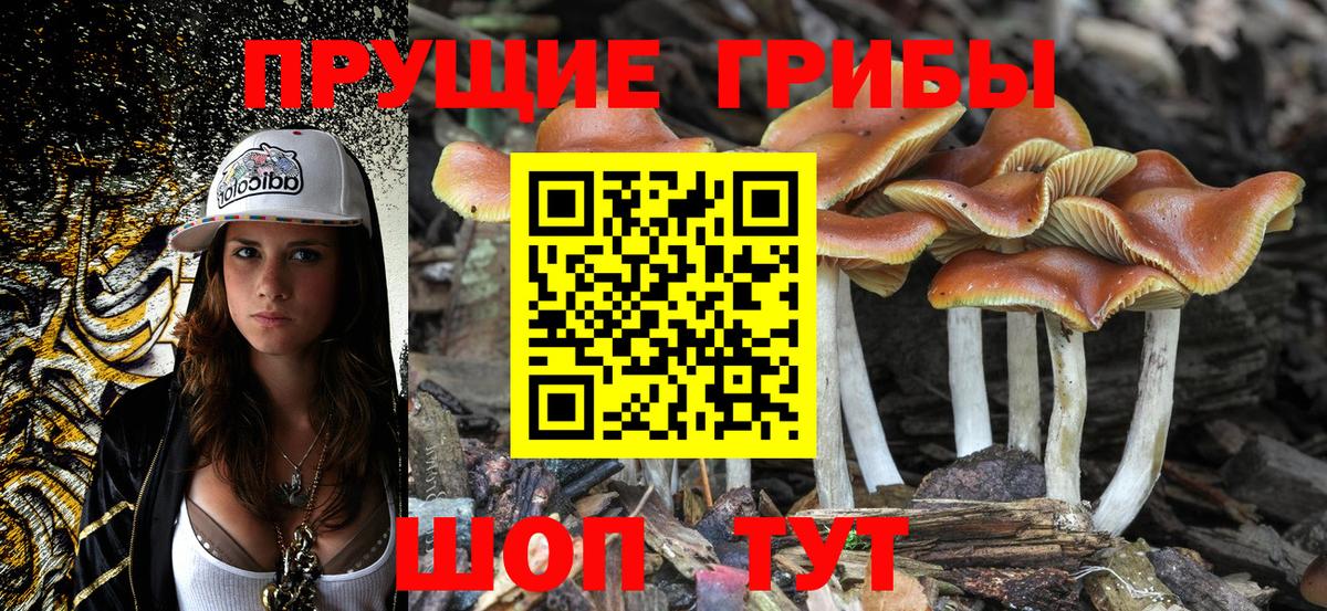 Североморск  Псилоцибиновые грибы ЛСД  Вход с VPN  Псилоцибиновые грибы ЛСД 